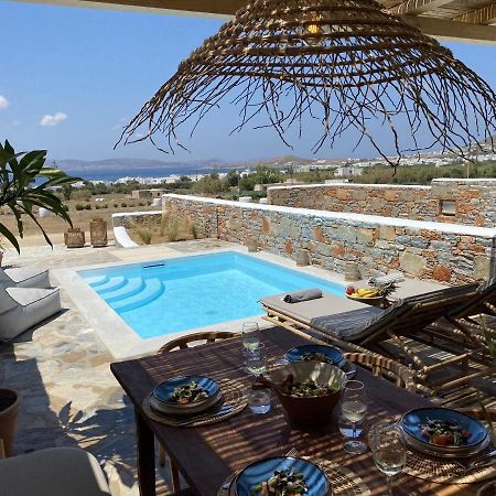 Villa Ypsilon Naxos - Luxury Holiday House With Amazing Sea View & Private Pool Agia Anna  Esterno foto