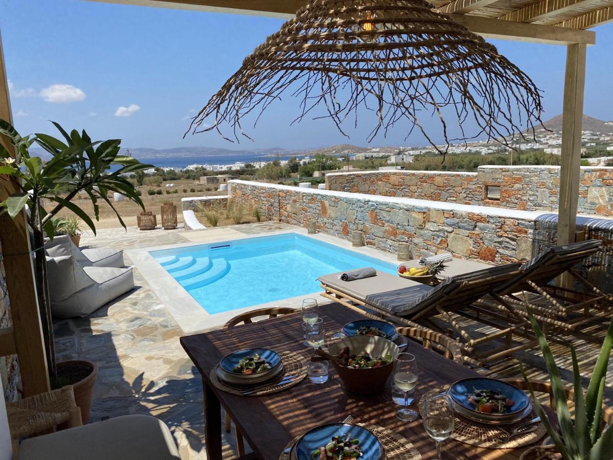 Villa Ypsilon Naxos - Luxury Holiday House With Amazing Sea View & Private Pool Agia Anna  Esterno foto