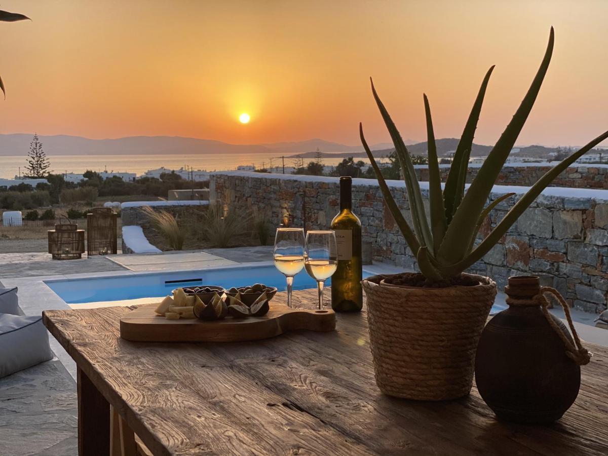 Villa Ypsilon Naxos - Luxury Holiday House With Amazing Sea View & Private Pool Agia Anna  Esterno foto