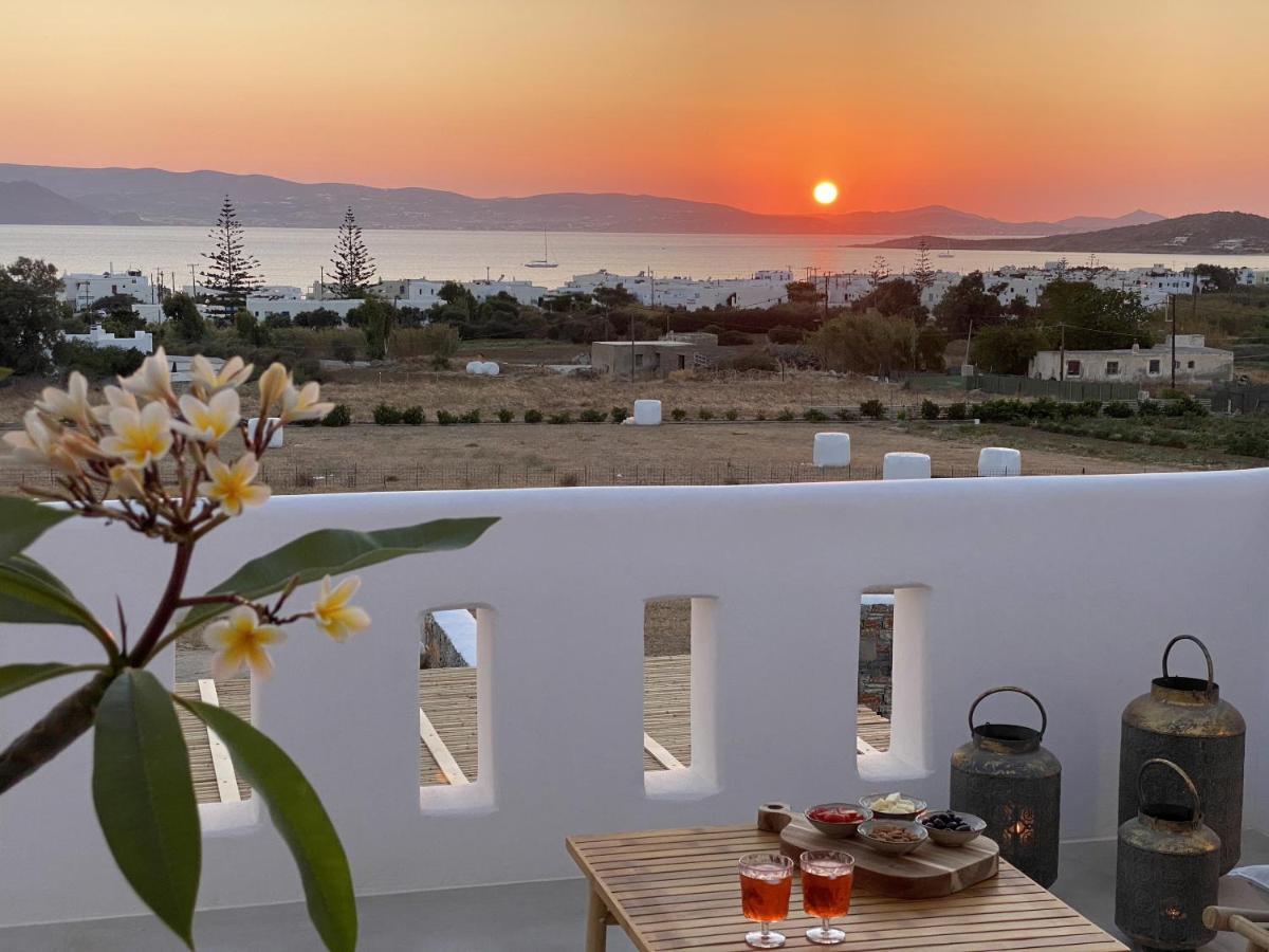 Villa Ypsilon Naxos - Luxury Holiday House With Amazing Sea View & Private Pool Agia Anna  Esterno foto